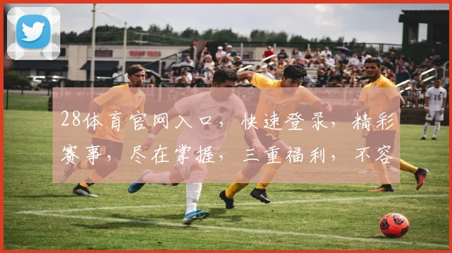 28体育官网入口，快速登录，精彩赛事，尽在掌握，三重福利，不容错过，体验非凡