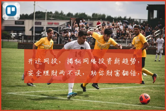 开运网投，揭秘网络投资新趋势，安全理财两不误，助你财富翻倍，轻松赚翻天